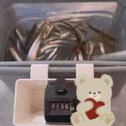 白雪ひめか 今シーズン11回目?? ABC 岩手ソープ