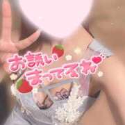 ヒメ日記 2025/02/25 11:46 投稿 松本ひな ABC 岩手ソープ