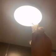 ヒメ日記 2025/02/26 14:46 投稿 松本ひな ABC 岩手ソープ