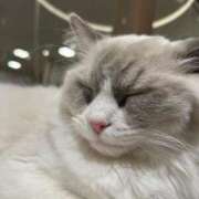 ヒメ日記 2025/04/01 12:16 投稿 守沢ゆき ABC 岩手ソープ