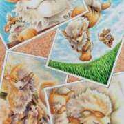 ヒメ日記 2025/11/10 11:46 投稿 守沢ゆき ABC 岩手ソープ