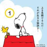 ヒメ日記 2025/11/25 10:31 投稿 守沢ゆき ABC 岩手ソープ