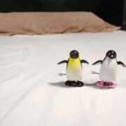 ヒメ日記 2025/04/22 01:31 投稿 吉村しずく ABC 岩手ソープ