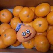 ヒメ日記 2026/01/01 00:16 投稿 吉村しずく ABC 岩手ソープ