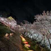 ヒメ日記 2026/04/10 09:01 投稿 吉村しずく ABC 岩手ソープ