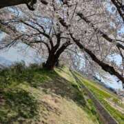 ヒメ日記 2026/04/17 19:16 投稿 吉村しずく ABC 岩手ソープ