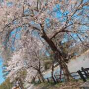 ヒメ日記 2026/04/19 21:01 投稿 吉村しずく ABC 岩手ソープ