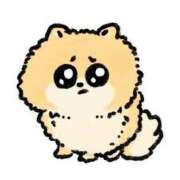 ヒメ日記 2025/01/25 12:01 投稿 中井かおる ABC 岩手ソープ