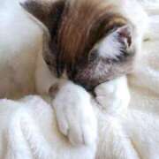 ヒメ日記 2025/02/22 13:16 投稿 中井かおる ABC 岩手ソープ