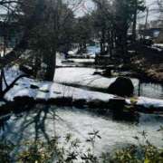 ヒメ日記 2025/02/26 15:31 投稿 中井かおる ABC 岩手ソープ