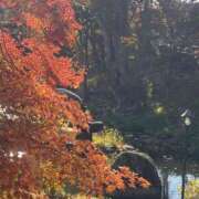 ヒメ日記 2025/11/14 14:31 投稿 中井かおる ABC 岩手ソープ