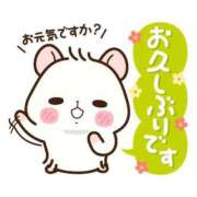 ヒメ日記 2025/05/01 07:16 投稿 工藤あおい ABC 岩手ソープ