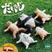 ヒメ日記 2025/09/03 12:01 投稿 工藤あおい ABC 岩手ソープ