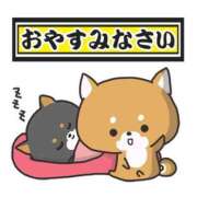 ヒメ日記 2025/11/11 00:01 投稿 工藤あおい ABC 岩手ソープ