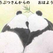 工藤あおい おはよう☆ ABC 岩手ソープ