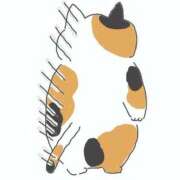 ヒメ日記 2025/12/16 12:46 投稿 工藤あおい ABC 岩手ソープ