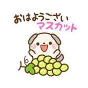 ヒメ日記 2026/07/09 12:16 投稿 工藤あおい ABC 岩手ソープ