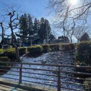 ヒメ日記 2025/01/28 01:46 投稿 真田ゆりあ ABC 岩手ソープ