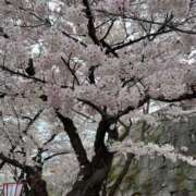 ヒメ日記 2025/04/22 18:31 投稿 真田ゆりあ ABC 岩手ソープ