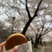 ヒメ日記 2025/04/23 12:46 投稿 真田ゆりあ ABC 岩手ソープ