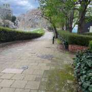 ヒメ日記 2025/04/25 15:31 投稿 真田ゆりあ ABC 岩手ソープ