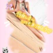 ヒメ日記 2025/08/19 10:46 投稿 真田ゆりあ ABC 岩手ソープ