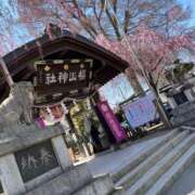 ヒメ日記 2026/04/14 15:16 投稿 真田ゆりあ ABC 岩手ソープ