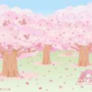 ヒメ日記 2026/04/19 15:46 投稿 真田ゆりあ ABC 岩手ソープ