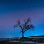 ヒメ日記 2025/02/03 23:31 投稿 桑野わかば ABC 岩手ソープ