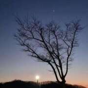 ヒメ日記 2025/02/04 23:31 投稿 桑野わかば ABC 岩手ソープ