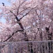 ヒメ日記 2025/04/22 13:16 投稿 桑野わかば ABC 岩手ソープ