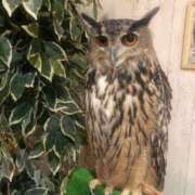 ヒメ日記 2025/04/27 12:16 投稿 桑野わかば ABC 岩手ソープ