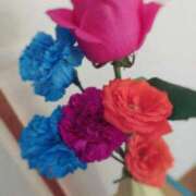 ヒメ日記 2025/05/20 09:16 投稿 桑野わかば ABC 岩手ソープ