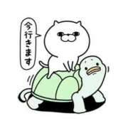 ヒメ日記 2025/05/21 19:01 投稿 桑野わかば ABC 岩手ソープ