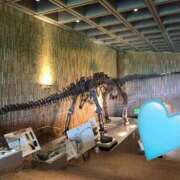 ヒメ日記 2025/05/30 14:01 投稿 桑野わかば ABC 岩手ソープ