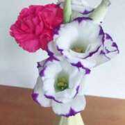 ヒメ日記 2025/07/17 13:31 投稿 桑野わかば ABC 岩手ソープ