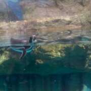 ヒメ日記 2025/07/27 18:31 投稿 桑野わかば ABC 岩手ソープ