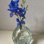 ヒメ日記 2025/09/27 08:01 投稿 桑野わかば ABC 岩手ソープ