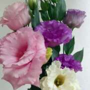 ヒメ日記 2025/10/03 18:31 投稿 桑野わかば ABC 岩手ソープ