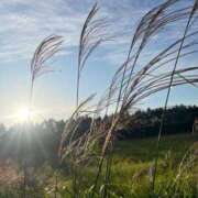 ヒメ日記 2025/10/04 20:16 投稿 桑野わかば ABC 岩手ソープ