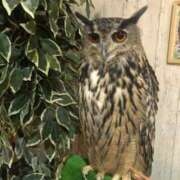 ヒメ日記 2025/10/05 00:01 投稿 桑野わかば ABC 岩手ソープ