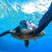 ヒメ日記 2025/10/11 19:01 投稿 桑野わかば ABC 岩手ソープ