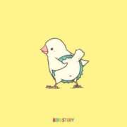 ヒメ日記 2025/10/19 00:16 投稿 桑野わかば ABC 岩手ソープ