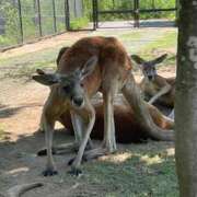 ヒメ日記 2025/10/19 17:16 投稿 桑野わかば ABC 岩手ソープ