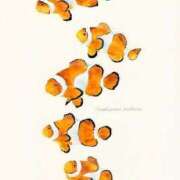 ヒメ日記 2025/10/24 19:16 投稿 桑野わかば ABC 岩手ソープ