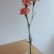 ヒメ日記 2025/11/28 08:46 投稿 桑野わかば ABC 岩手ソープ