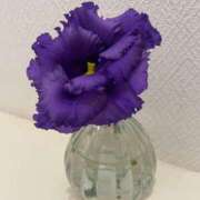 ヒメ日記 2025/12/20 18:46 投稿 桑野わかば ABC 岩手ソープ