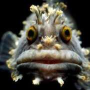 ヒメ日記 2025/12/28 15:31 投稿 桑野わかば ABC 岩手ソープ