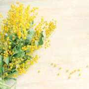 ヒメ日記 2026/03/08 08:16 投稿 桑野わかば ABC 岩手ソープ