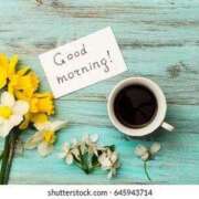 ヒメ日記 2026/04/09 08:01 投稿 桑野わかば ABC 岩手ソープ